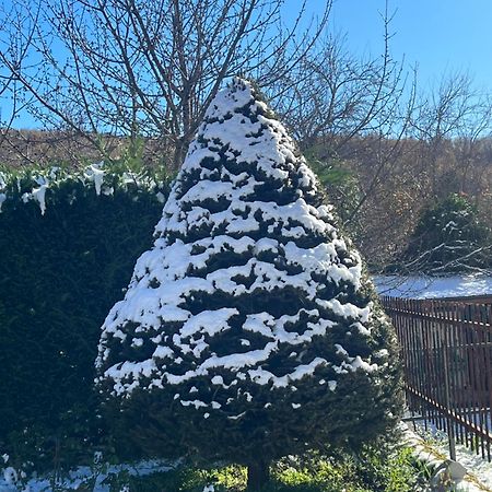 Appartamento La Petite Maison Ateleta Esterno foto